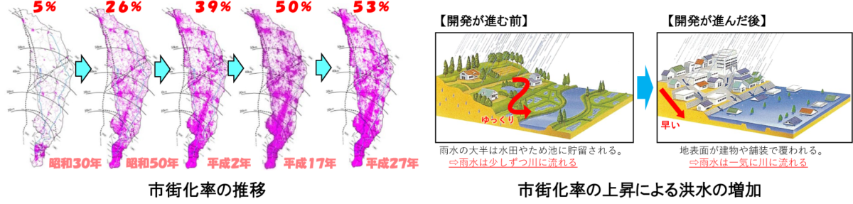 中川・綾瀬川流域の市街化率の推移と洪水の増加